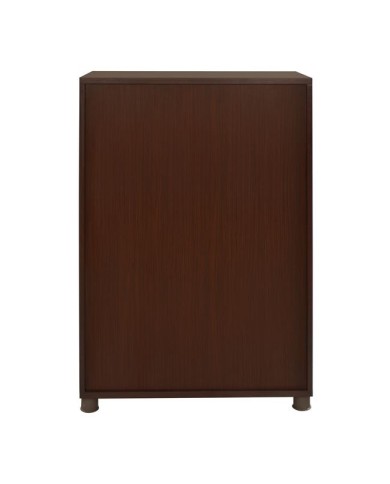 ΝΤΟΥΛΑΠΙ ΓΡΑΦΕΙΟΥ ΕΠΑΓΓΕΛΜΑΤΙΚΟ WENGE HM2058.02 80x40x118