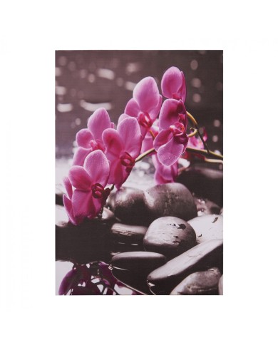 ΠΙΝΑΚΑΣ ΚΑΜΒΑΣ PINK ORCHID...