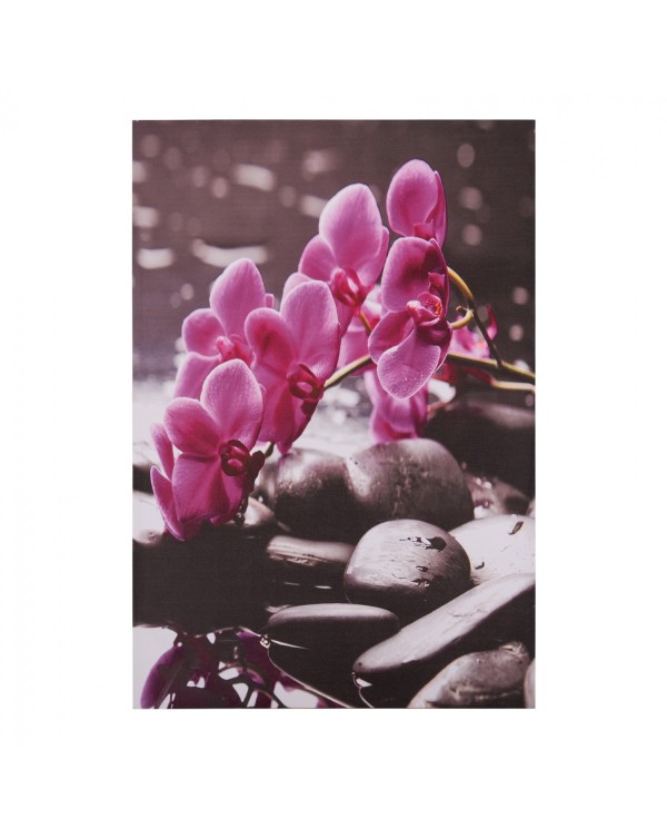ΠΙΝΑΚΑΣ ΚΑΜΒΑΣ PINK ORCHID HM7154.12 60X90X2.5 εκ.