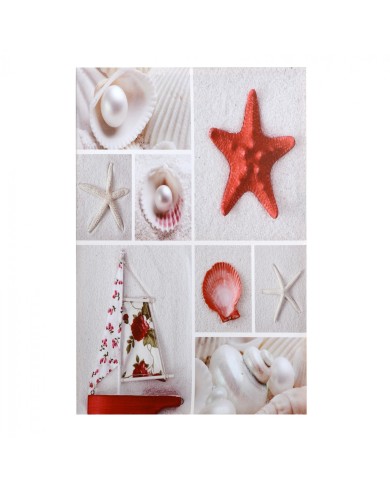 ΠΙΝΑΚΑΣ ΚΑΜΒΑΣ HM7088 RED STARFISH 40X60