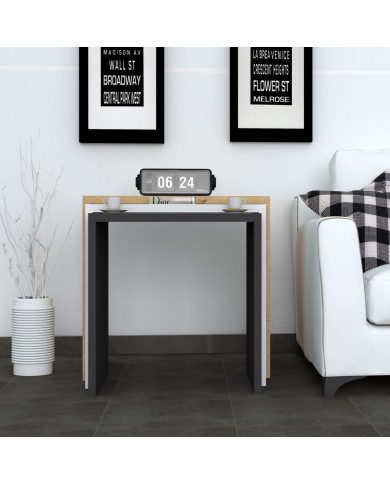 ΖΙΓΚΟΝ ΣΕΤ 3ΤΜΧ HM9067.01 ΑΝΘΡΑΚΙ ΛΕΥΚΟ NATURAL WOOD 50x29,6x40Y εκ.