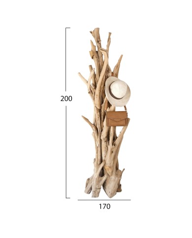 ΚΑΛΟΓΕΡΟΣ HM9367 ΑΠΟ ΜΑΣΙΦ ΞΥΛΟ TEAK ΦΥΣΙΚΟ 170-200ΕΚ.
