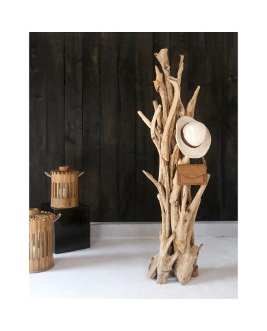 ΚΑΛΟΓΕΡΟΣ HM9367 ΑΠΟ ΜΑΣΙΦ ΞΥΛΟ TEAK ΦΥΣΙΚΟ 170-200ΕΚ.