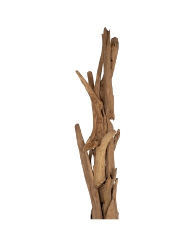 ΚΑΛΟΓΕΡΟΣ HM9367 ΑΠΟ ΜΑΣΙΦ ΞΥΛΟ TEAK ΦΥΣΙΚΟ 170-200ΕΚ.