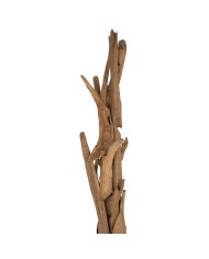 ΚΑΛΟΓΕΡΟΣ HM9367 ΑΠΟ ΜΑΣΙΦ ΞΥΛΟ TEAK ΦΥΣΙΚΟ 170-200ΕΚ.