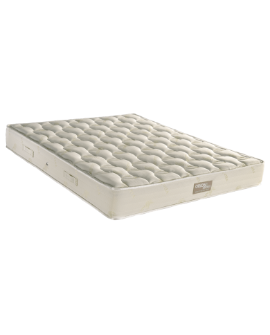 E055 Aloe Vera Foam 250...
