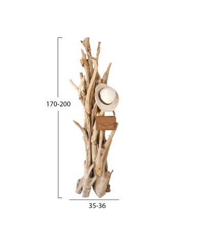 ΚΑΛΟΓΕΡΟΣ HM9367 ΑΠΟ ΜΑΣΙΦ ΞΥΛΟ TEAK ΦΥΣΙΚΟ 170-200ΕΚ.