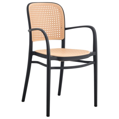 ΠΟΛΥΘΡΟΝΑ ΠΟΛΥΠΡΟΠΥΛΕΝΙΟΥ...