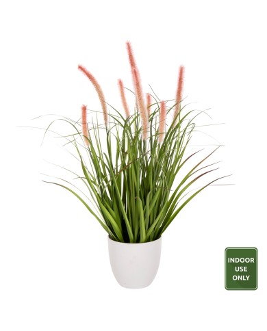 ΔΙΑΚΟΣΜΗΤΙΚΟ ΣΥΝΘΕΤΙΚΟ ΦΥΤΟ HM4029 BRISTLEGRASS ΣΕ ΓΛΑΣΤΡΑ Φ14,5x13-62Yεκ.