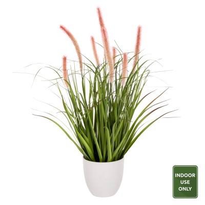 ΔΙΑΚΟΣΜΗΤΙΚΟ ΣΥΝΘΕΤΙΚΟ ΦΥΤΟ...