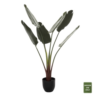 ΔΙΑΚΟΣΜΗΤΙΚΟ ΣΥΝΘΕΤΙΚΟ ΦΥΤΟ...