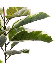 ΔΙΑΚΟΣΜΗΤΙΚΟ ΣΥΝΘΕΤΙΚΟ ΦΥΤΟ HM7972 OAK LEAF ΣΕ ΓΛΑΣΤΡΑ 85Υεκ.