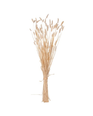 ΔΙΑΚΟΣΜΗΤΙΚΟ ΜΠΟΥΚΕΤΟ ΑΠΟΞΗΡΑΜΕΝΟ HM7959 RABBIT TAIL- CREAM 50gr 76Υεκ.