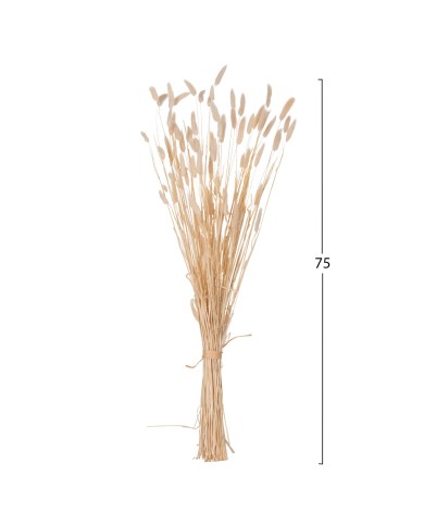 ΔΙΑΚΟΣΜΗΤΙΚΟ ΜΠΟΥΚΕΤΟ ΑΠΟΞΗΡΑΜΕΝΟ HM7959 RABBIT TAIL- CREAM 50gr 76Υεκ.