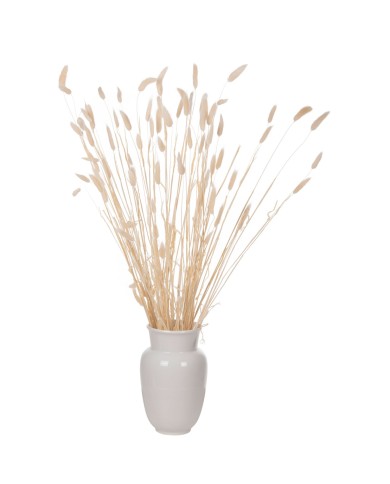 ΔΙΑΚΟΣΜΗΤΙΚΟ ΜΠΟΥΚΕΤΟ ΑΠΟΞΗΡΑΜΕΝΟ HM7959 RABBIT TAIL- CREAM 50gr 76Υεκ.