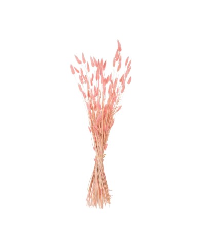 ΔΙΑΚΟΣΜΗΤΙΚΟ ΜΠΟΥΚΕΤΟ ΑΠΟΞΗΡΑΜΕΝΟ HM7960 RABBIT TAIL-PINK 75Υεκ.