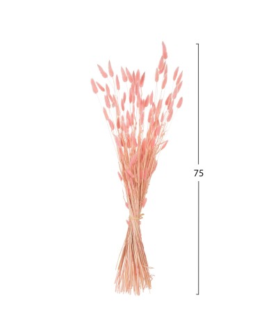 ΔΙΑΚΟΣΜΗΤΙΚΟ ΜΠΟΥΚΕΤΟ ΑΠΟΞΗΡΑΜΕΝΟ HM7960 RABBIT TAIL-PINK 75Υεκ.