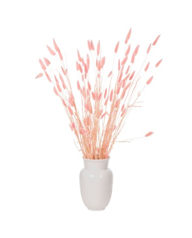 ΔΙΑΚΟΣΜΗΤΙΚΟ ΜΠΟΥΚΕΤΟ ΑΠΟΞΗΡΑΜΕΝΟ HM7960 RABBIT TAIL-PINK 75Υεκ.