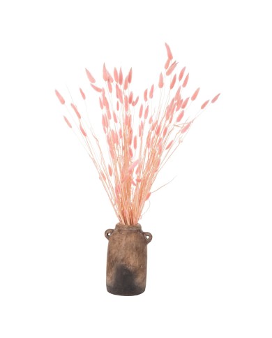 ΔΙΑΚΟΣΜΗΤΙΚΟ ΜΠΟΥΚΕΤΟ ΑΠΟΞΗΡΑΜΕΝΟ HM7960 RABBIT TAIL-PINK 75Υεκ.